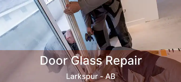  Door Glass Repair Larkspur - AB