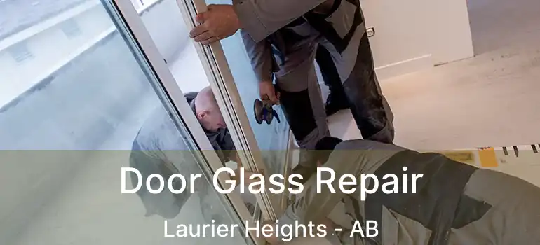  Door Glass Repair Laurier Heights - AB