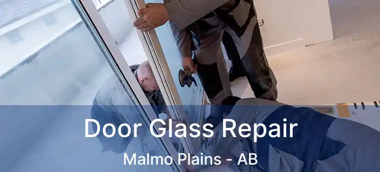  Door Glass Repair Malmo Plains - AB