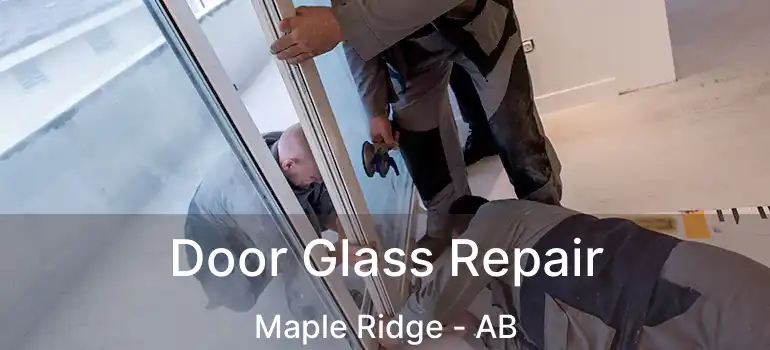  Door Glass Repair Maple Ridge - AB