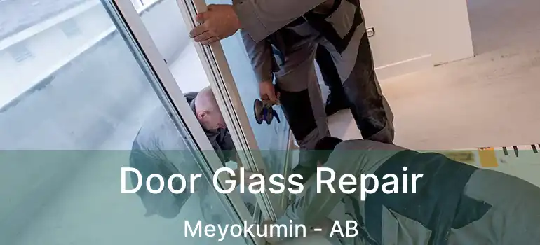  Door Glass Repair Meyokumin - AB