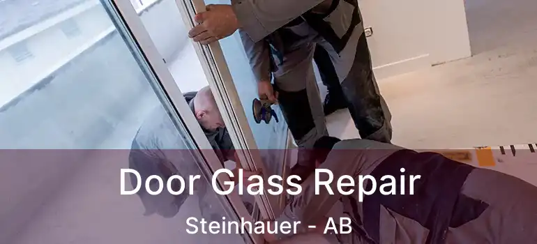  Door Glass Repair Steinhauer - AB