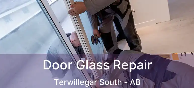  Door Glass Repair Terwillegar South - AB