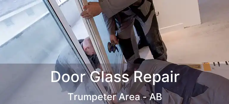  Door Glass Repair Trumpeter Area - AB
