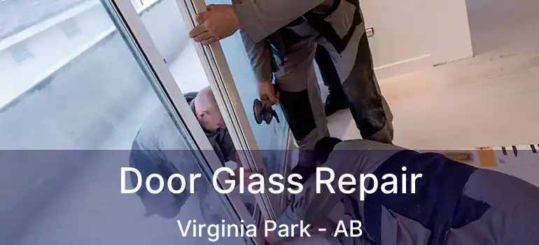  Door Glass Repair Virginia Park - AB