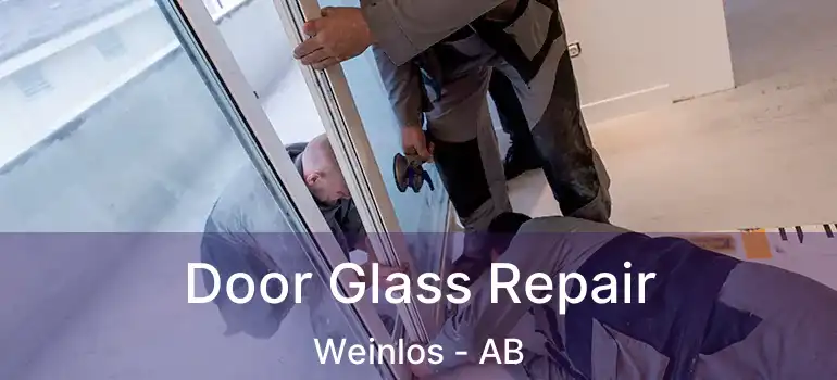  Door Glass Repair Weinlos - AB