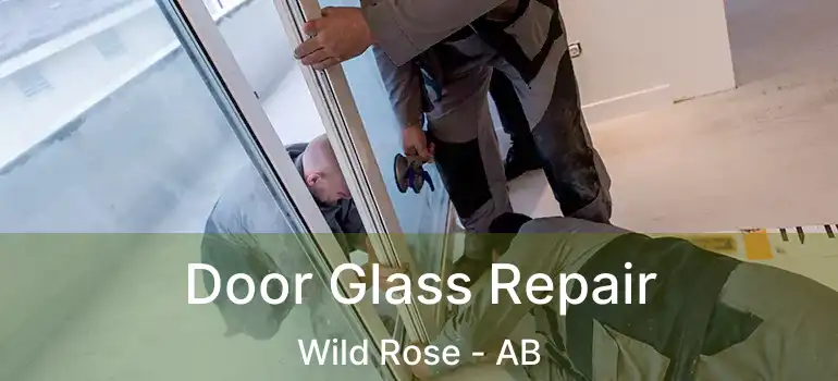  Door Glass Repair Wild Rose - AB