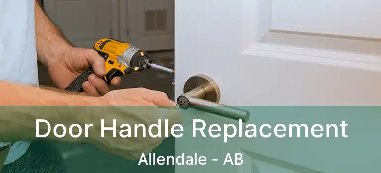  Door Handle Replacement Allendale - AB