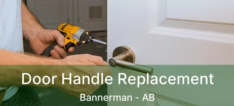 Door Handle Replacement Bannerman - AB
