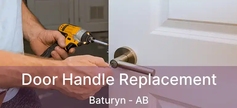  Door Handle Replacement Baturyn - AB
