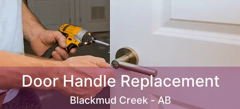  Door Handle Replacement Blackmud Creek - AB