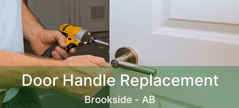  Door Handle Replacement Brookside - AB