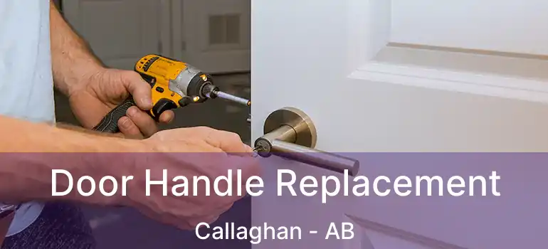  Door Handle Replacement Callaghan - AB