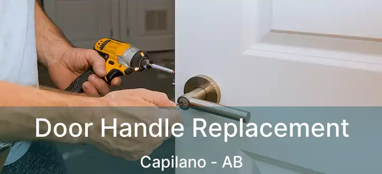  Door Handle Replacement Capilano - AB