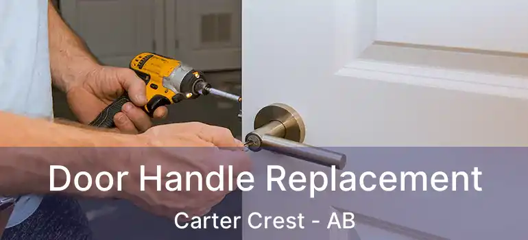  Door Handle Replacement Carter Crest - AB