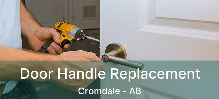 Door Handle Replacement Cromdale - AB