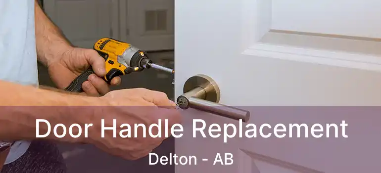  Door Handle Replacement Delton - AB