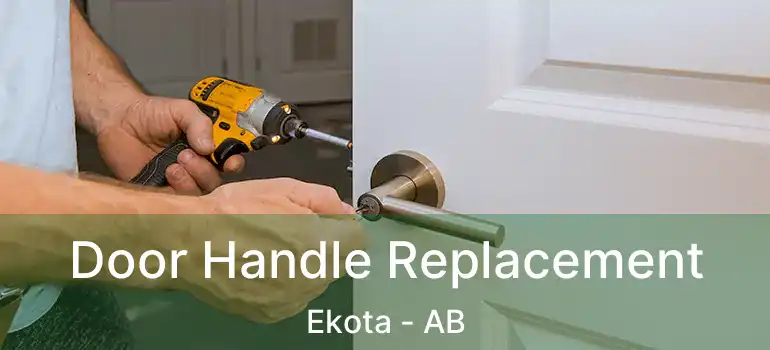  Door Handle Replacement Ekota - AB
