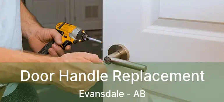 Door Handle Replacement Evansdale - AB