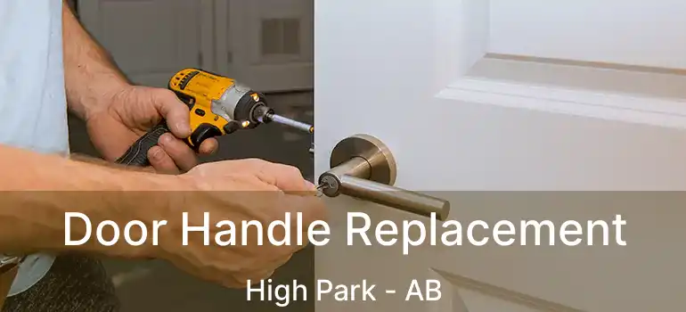  Door Handle Replacement High Park - AB