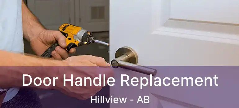  Door Handle Replacement Hillview - AB