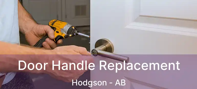  Door Handle Replacement Hodgson - AB