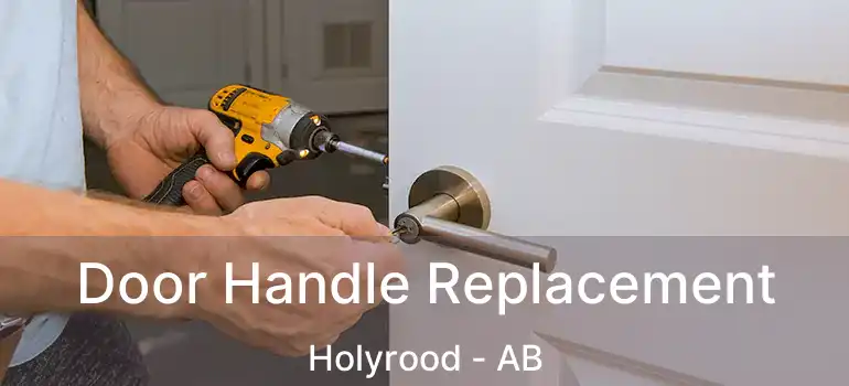  Door Handle Replacement Holyrood - AB