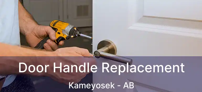  Door Handle Replacement Kameyosek - AB