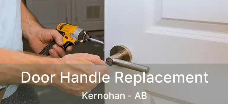  Door Handle Replacement Kernohan - AB