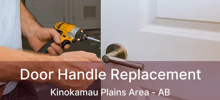  Door Handle Replacement Kinokamau Plains Area - AB