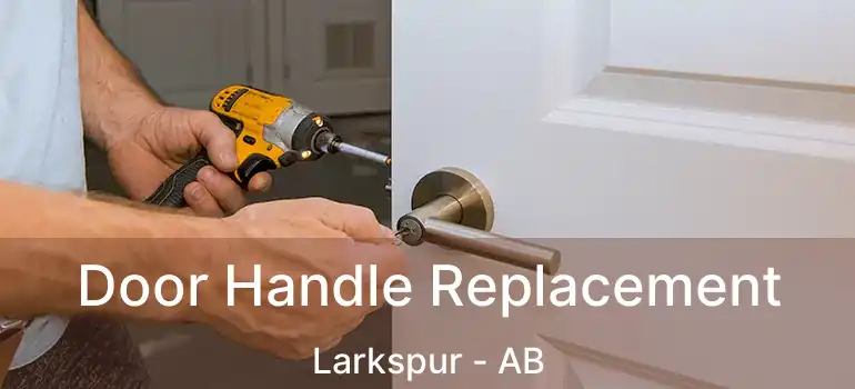 Door Handle Replacement Larkspur - AB
