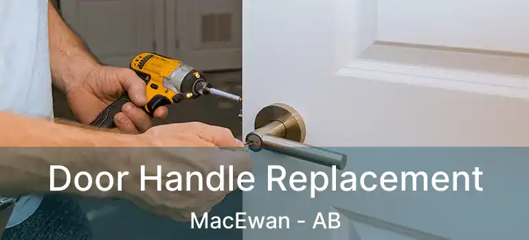  Door Handle Replacement MacEwan - AB