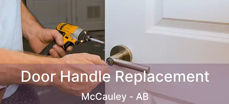  Door Handle Replacement McCauley - AB