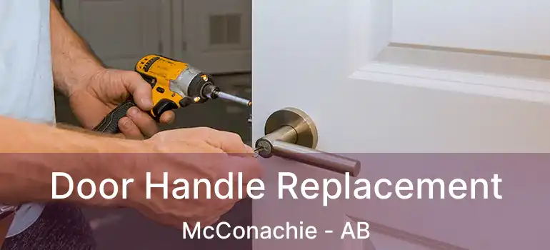  Door Handle Replacement McConachie - AB