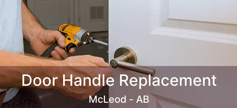  Door Handle Replacement McLeod - AB