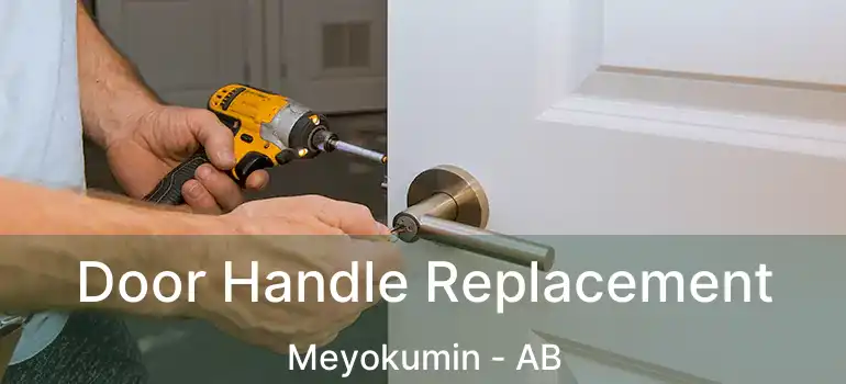  Door Handle Replacement Meyokumin - AB