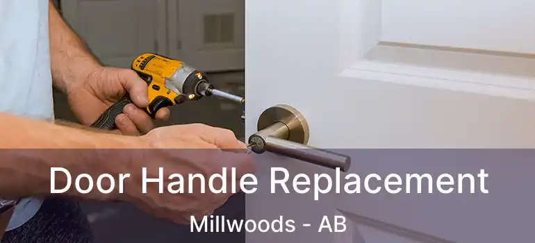  Door Handle Replacement Millwoods - AB