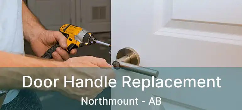  Door Handle Replacement Northmount - AB