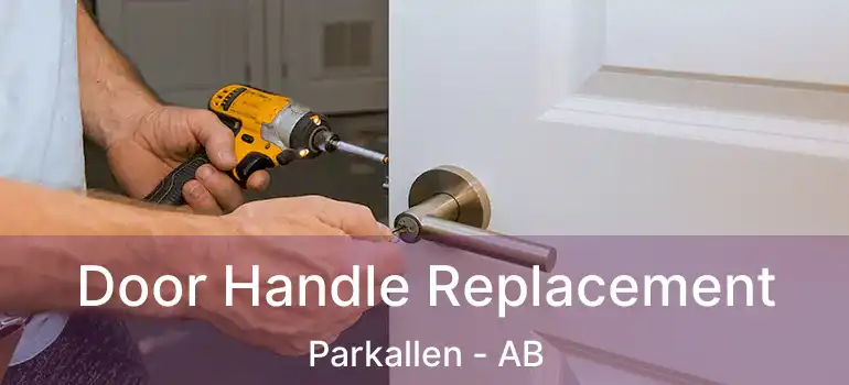  Door Handle Replacement Parkallen - AB