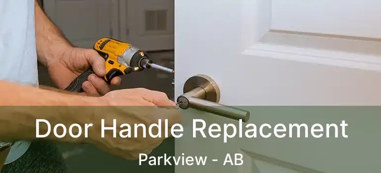 Door Handle Replacement Parkview - AB