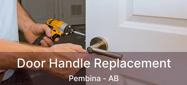  Door Handle Replacement Pembina - AB
