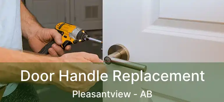  Door Handle Replacement Pleasantview - AB