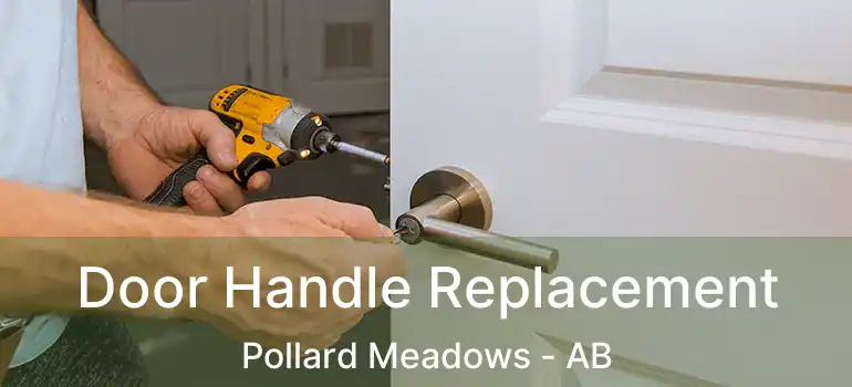  Door Handle Replacement Pollard Meadows - AB