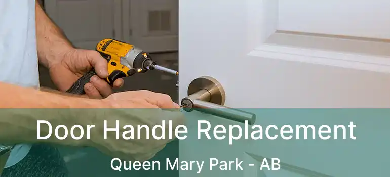  Door Handle Replacement Queen Mary Park - AB