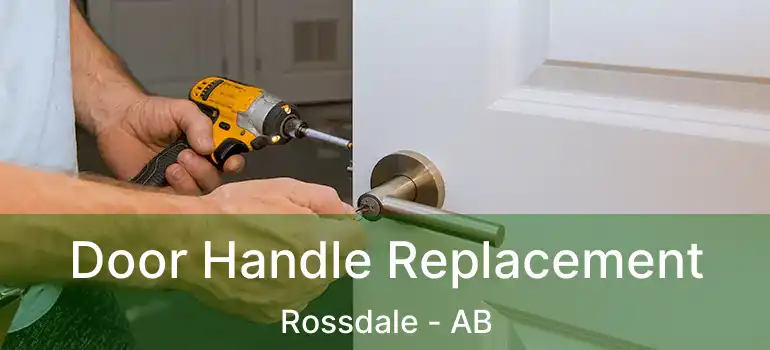  Door Handle Replacement Rossdale - AB