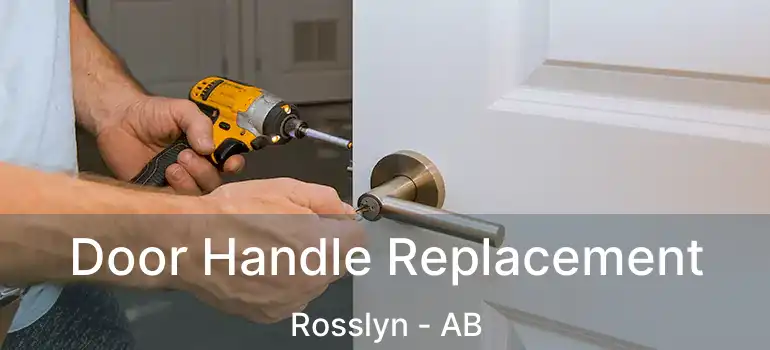  Door Handle Replacement Rosslyn - AB