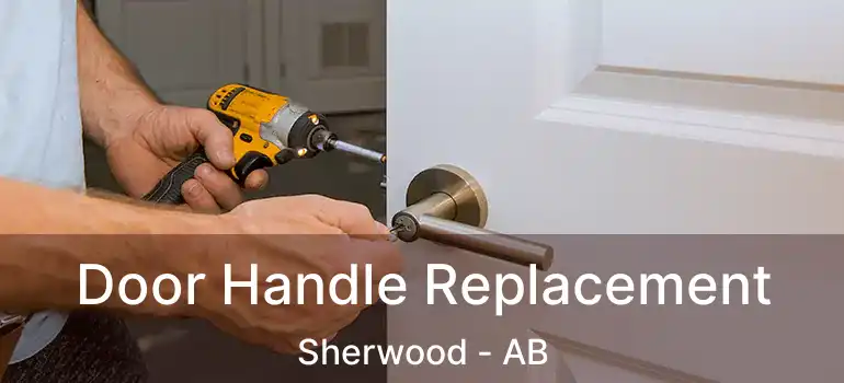  Door Handle Replacement Sherwood - AB