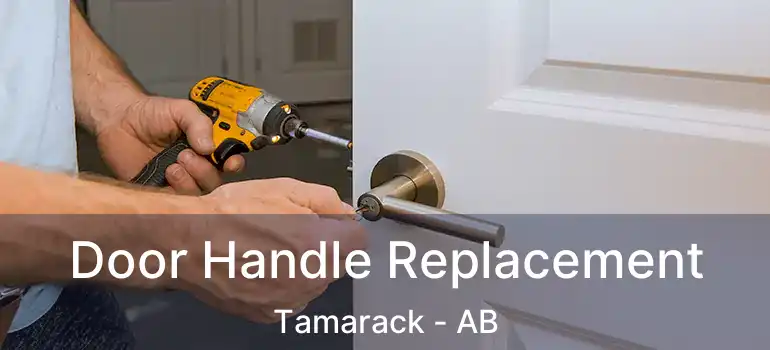  Door Handle Replacement Tamarack - AB
