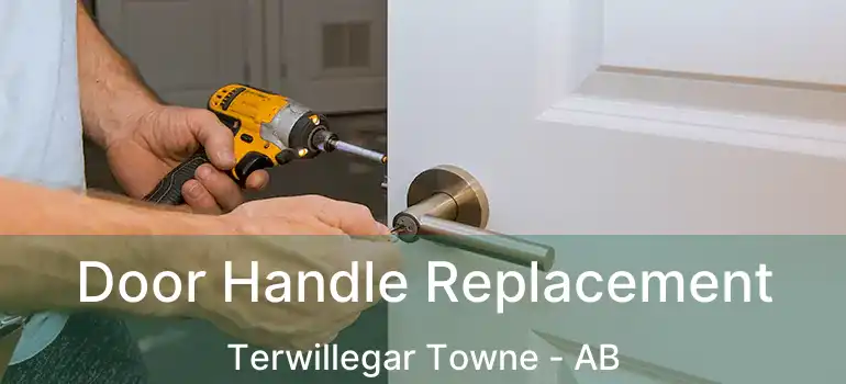  Door Handle Replacement Terwillegar Towne - AB
