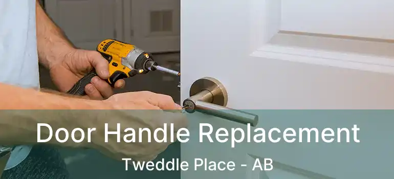  Door Handle Replacement Tweddle Place - AB